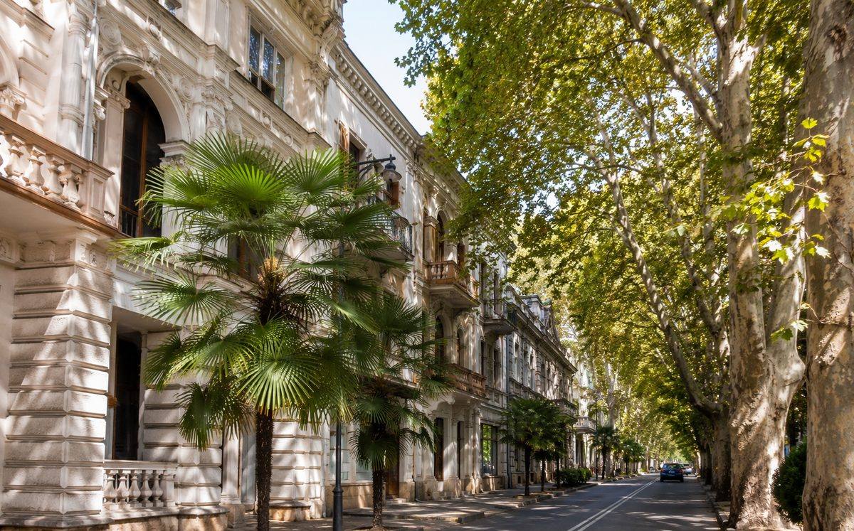 По страницам истории города Сочи (индивидуальная пешеходная)